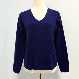 Classic V-Neck Sweater in Deep Blue